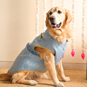 Hiputee Warm Pet Jacket