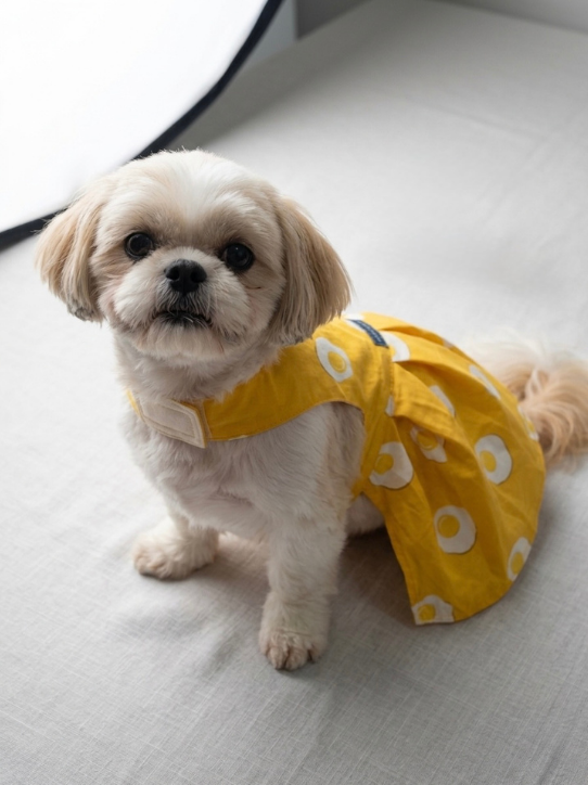 Yellow - Egg Print Frock