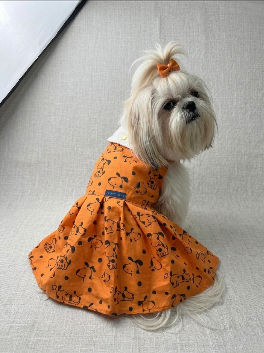 Orange Frock