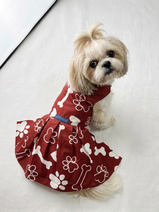 Maroon - Paw N Bone Frock