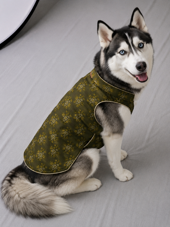 Mehendi Green Party Wear Sherwani