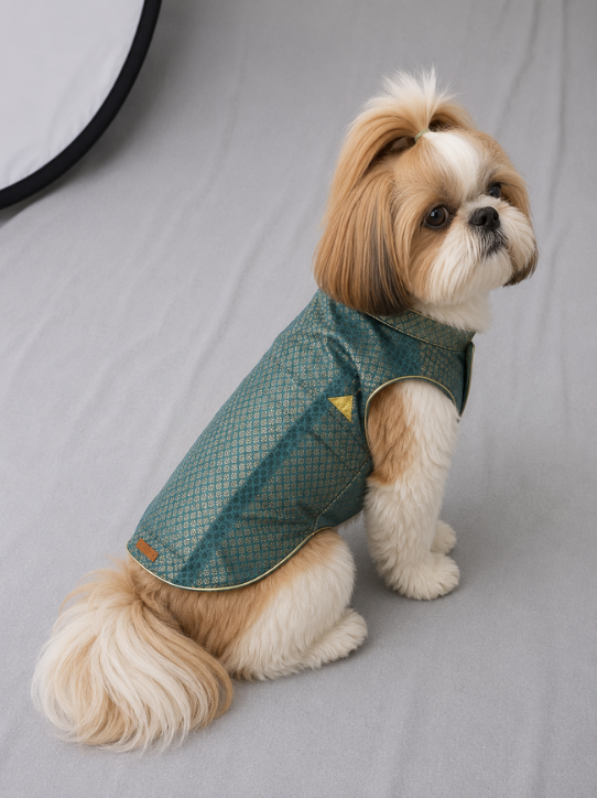 Sea Green Party Wear Sherwani