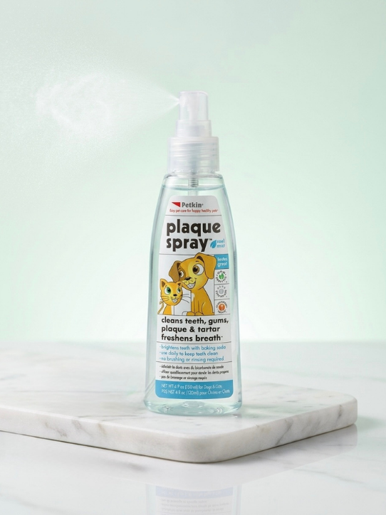 Plaque Spray Cool Mint